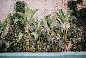 Top Rentals WOW Nuñez