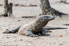 AYANA Komodo Waecicu Beach