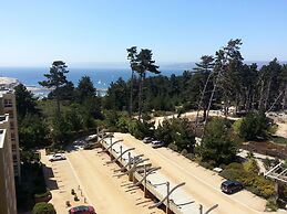 Pinares del Canelillo