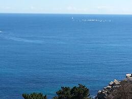 Pinares del Canelillo