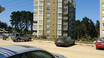 Pinares del Canelillo