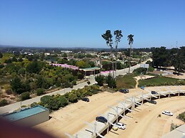 Pinares del Canelillo