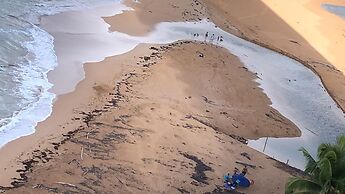 Ocean View Gorgeous 1 Bedroom Apt