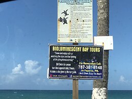 Ocean View Gorgeous 1 Bedroom Apt