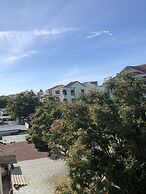 Three Palms Homestay