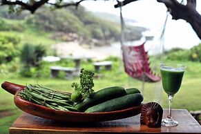 Go Natural Jamaica Retreats