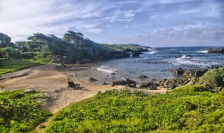 Go Natural Jamaica Retreats