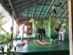 Go Natural Jamaica Retreats