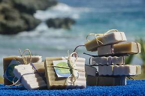 Go Natural Jamaica Retreats