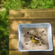 Go Natural Jamaica Retreats