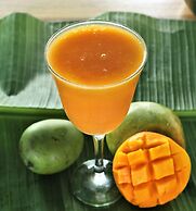 Go Natural Jamaica Retreats