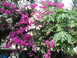 White Sand Beach Inn