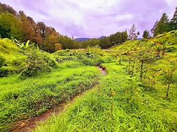 Ciwidey Jungle Villa