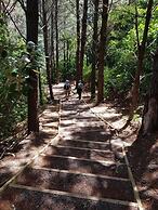 Athenree Hot Springs & Holiday Park