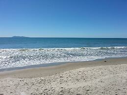 Athenree Hot Springs & Holiday Park