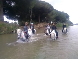 Suites d'hôtes Prestige Mas de l'étoile