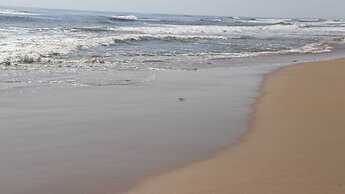 Holiday Inn Express Chennai OMR Thoraipakkam by IHG