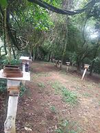 Pousada Mirante dos Ipês