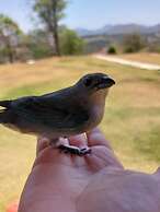 Pousada Mirante dos Ipês
