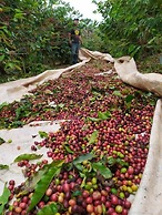 Pousada Mirante dos Ipês