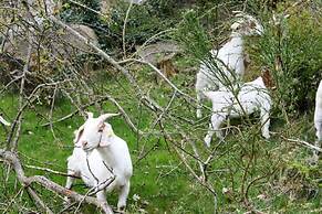 Pension Hammerknuden