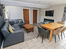 Dylan's Court