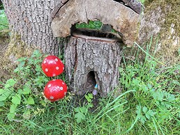 Bullace Barn