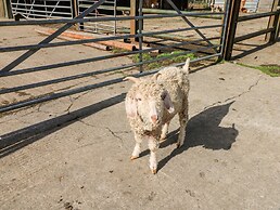 Saddlers Cottage, Berllandeg Farm