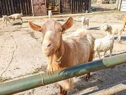Saddlers Cottage, Berllandeg Farm