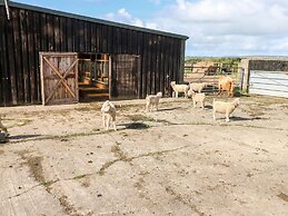 Saddlers Cottage, Berllandeg Farm