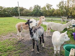 Saddlers Cottage, Berllandeg Farm