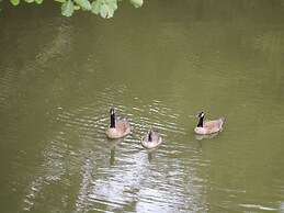 Miswells Cottages - Lake View
