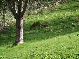 Beautiful Cotswold View