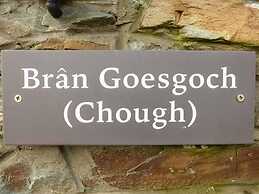 Bran Goesgoch