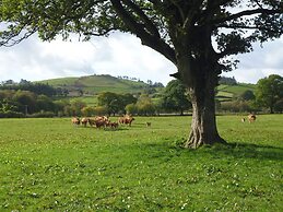 Tynddol Barn