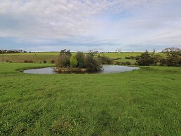 Meadow View