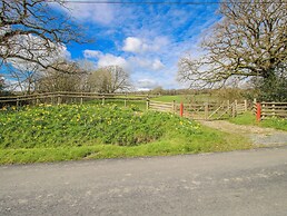 The Milking Parlour