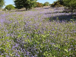 Butterbrook Coach House