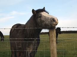 The Stone Barn Cottage