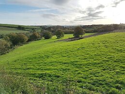 Hedgelea