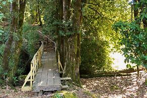 Cabañas Los Canelos