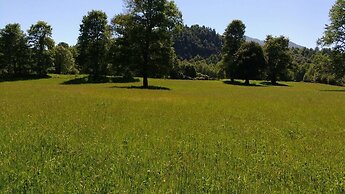 Cabañas Los Canelos