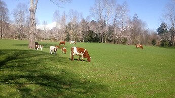 Cabañas Los Canelos