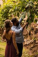 Aarunya Nature Resort &  Spa