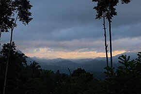 Aarunya Nature Resort &  Spa