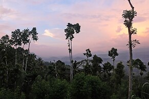 Aarunya Nature Resort &  Spa