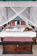 Aarunya Nature Resort &  Spa