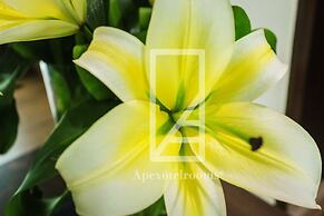 Padgett Place - Deluxe Suites