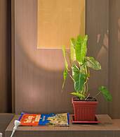 Padgett Place - Deluxe Suites