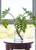 Padgett Place - Deluxe Suites